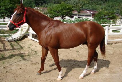 Ȧ���� ����