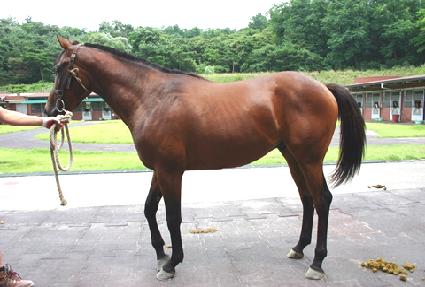 �뼺���� ����