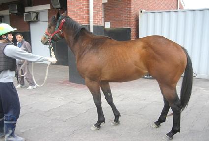 �뼺��ȣ ����