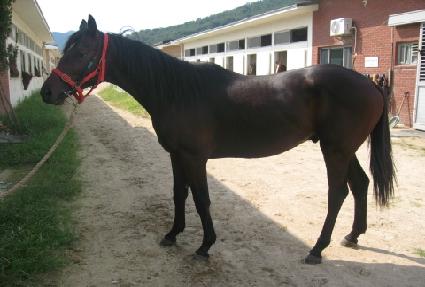 ������� ����