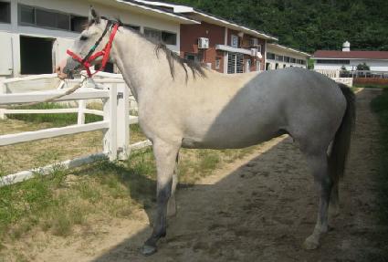 �Ͼ�ٶ� ����