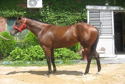 �׷������� ����