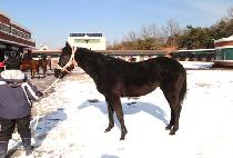 ���� (JACK POT) ����