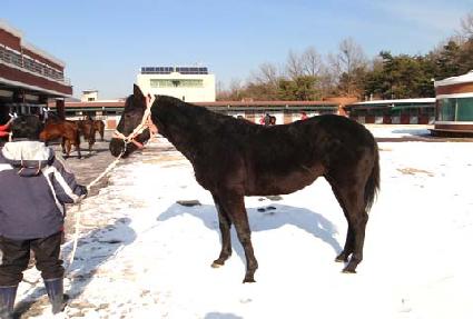 ���� ����