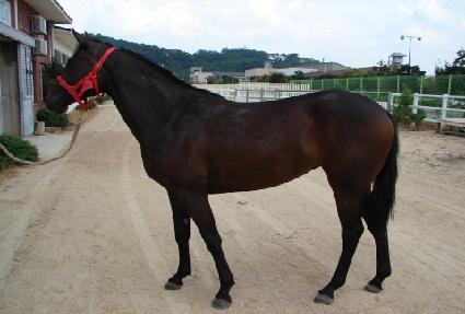 �Ϳ� ����