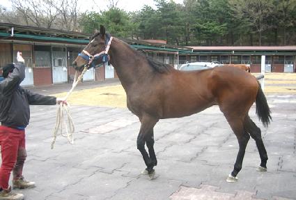 ���ֻ꼺 ����