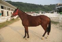 ������ġ (AIR TOUCH) ����