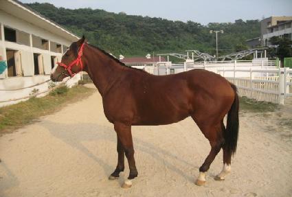 ������ġ ����