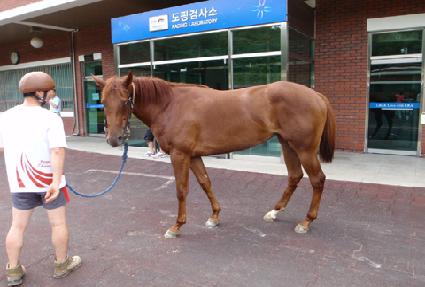 �������� ����