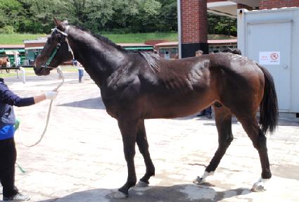 ��λ����� ����