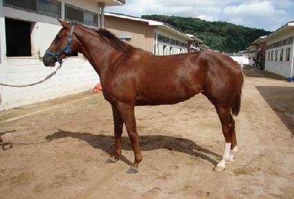 ��Ž� ����