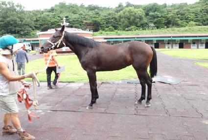 ����Ƽ������ ����