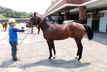 ����ĭ ����