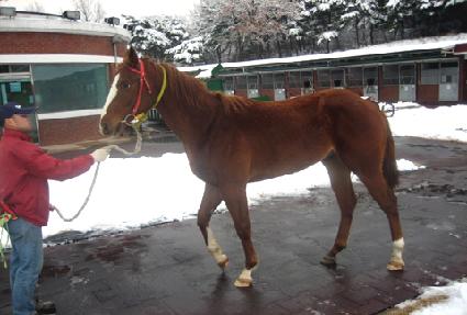 ���丮��ε� ����