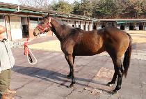 ����Ʈĸƾ (PERFECT CAPTAIN) ����