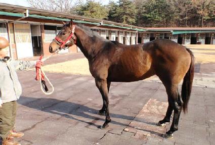 ����Ʈĸƾ ����