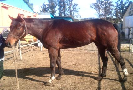 ���ѿ��� ����