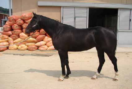 ����ġ�� ����