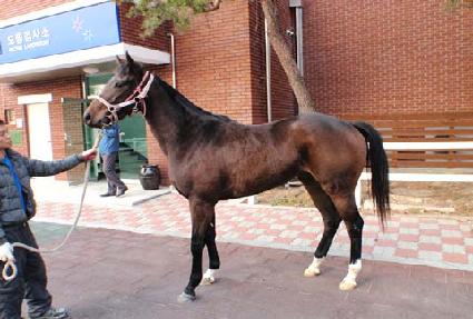 �Ѱ��� ����