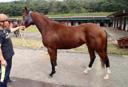 �ٸ��� ����