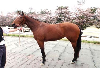 �׸������� ����