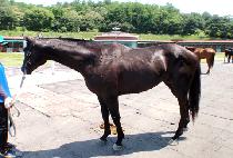 �ձ� (WANGGWON) ����