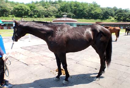 �ձ� ����