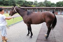 �������� (MAKGANG HIGH) ����