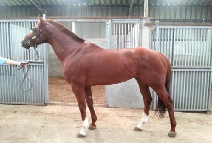 Ž���̽� ����