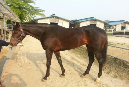 ��¡���� ����