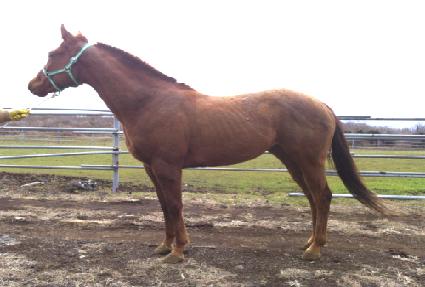 �������� ����