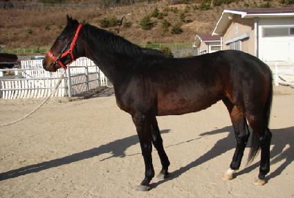 �������� ����