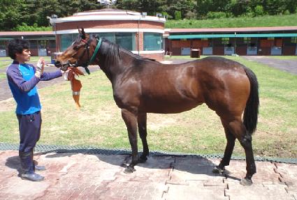 �־Ϻ� ����