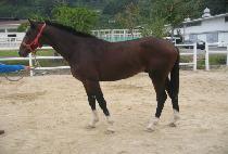 ����Ȳ�� (SUPER HWANGJE) ����