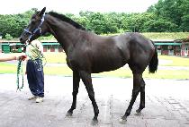 �������� (OPERA GONGJU) ����