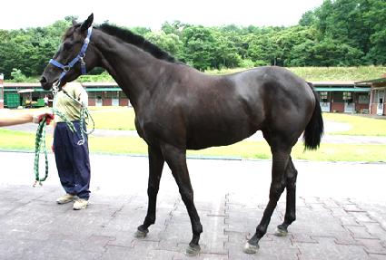 �������� ����