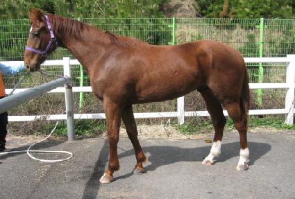 ĳ������ ����