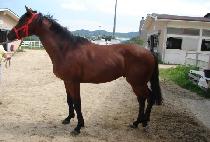 ���Ѱ��� (MUHANGAMDONG) ����