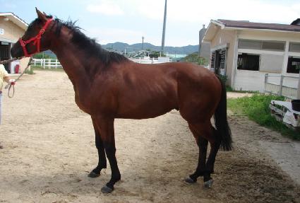 ���Ѱ��� ����