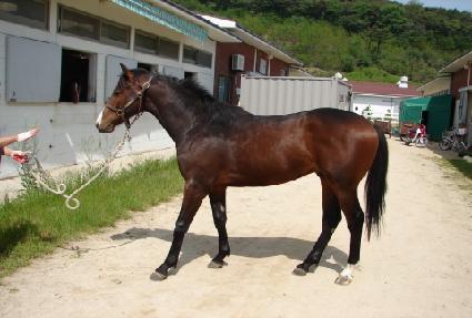 ���Ǻ�Ȱ ����