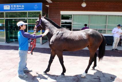 ��������Ʈ ����