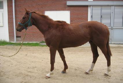 �������Դ� ����