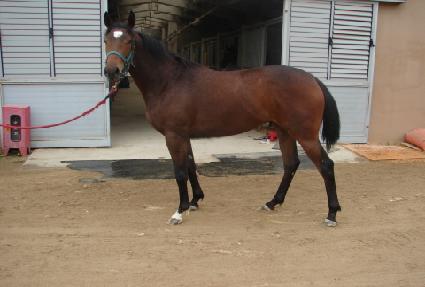 õ���ǿ��� ����