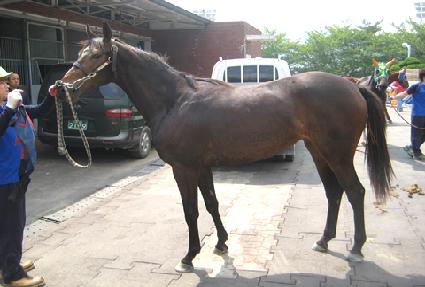 ��ǳ ����