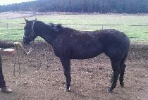 NIMUI CHANGA picture