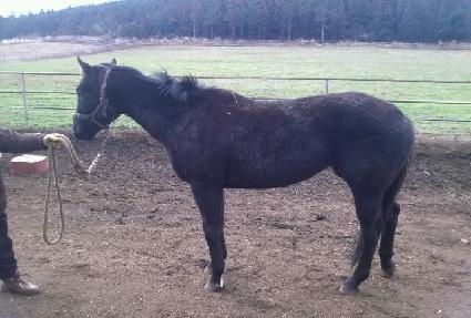 �������� ����