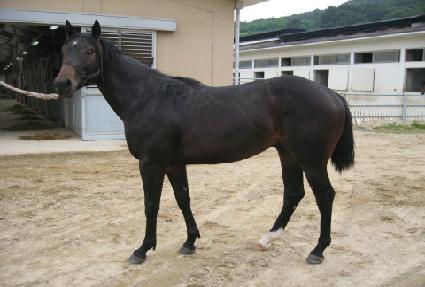 �ο��йи� ����