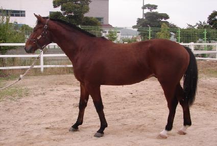 ������ ����