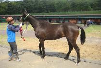 ���� (WONSON) ����