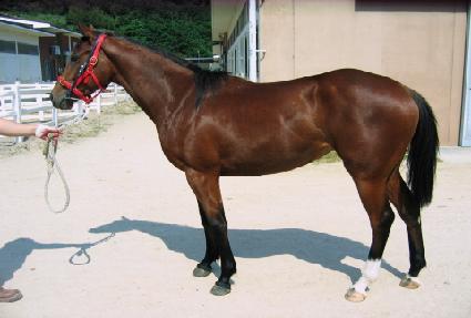 �ν��ÿ����� ����